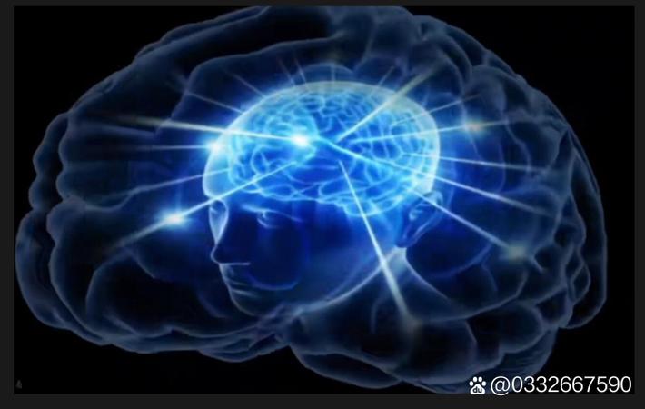 网传某知名女星与经纪人闹翻,疑似因资源分配不均,双方各执一词互不相让